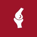 More About Knee Services