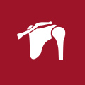 More About Shoulder Services